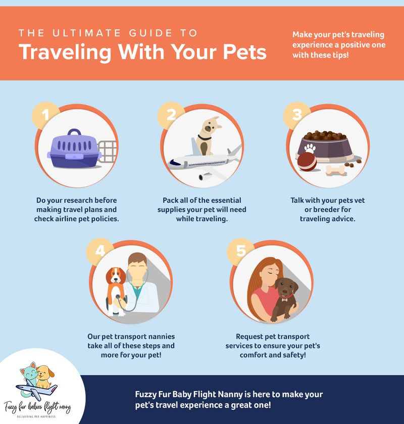 safe travel with your pet